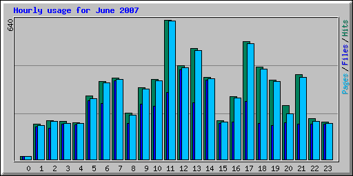 Hourly usage for June 2007